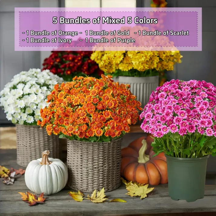 AutumnGlow Mums - A Perfect Fall Porch, Guaranteed + 50% OFF - Image 19