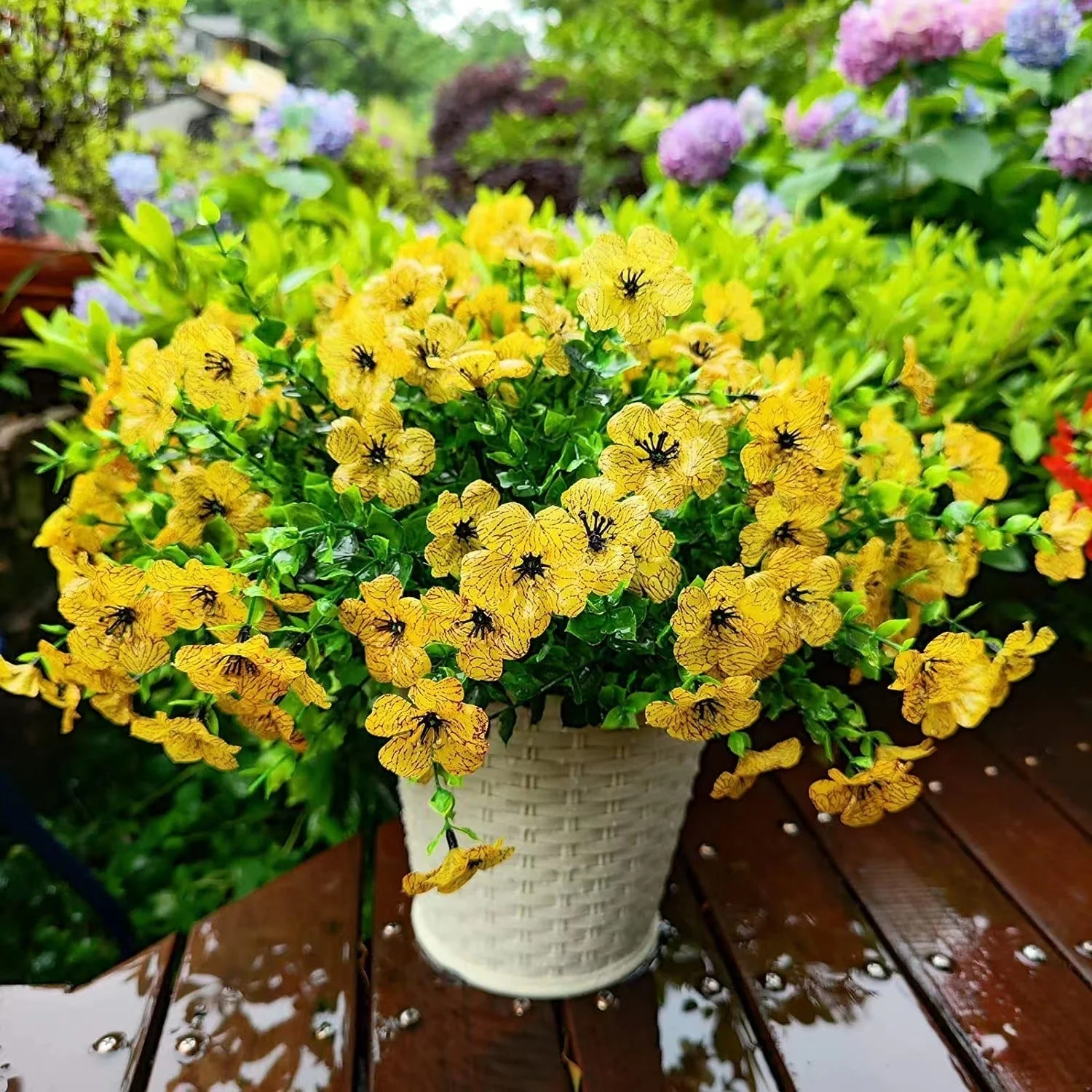 AutumnGlow Mums - A Perfect Fall Porch, Guaranteed + 50% OFF - Image 4