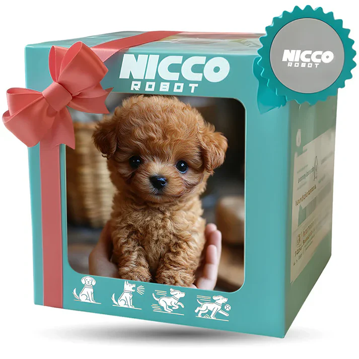 Nicco: End Loneliness. Start Living + 50% OFF - Image 8