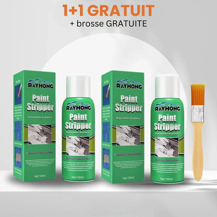 RayHong – Wipe Away Old Paint Instantly + 1+1 FREE
