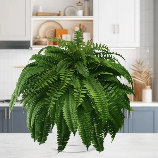 The AuraFern Realistic Boston Fern — Lush, Maintenance-Free Greenery + 50% OFF - Image 9
