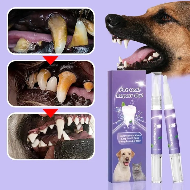 The Pawzioo Oral Gel - Freshen Breath & Improve Gum Health Fast! + 50% OFF - Image 3